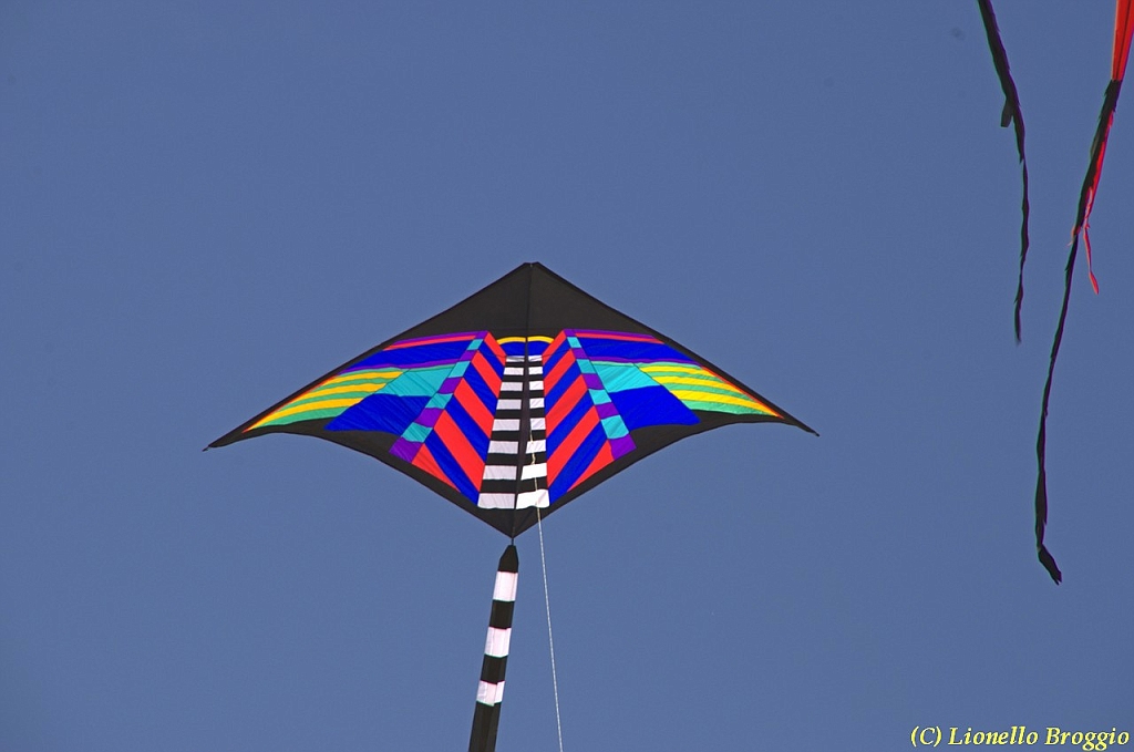 32 FESTIVAL CERVIA 2012 - 226.jpg